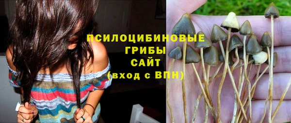 гашик Бугульма