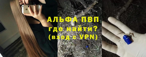 гашик Бородино